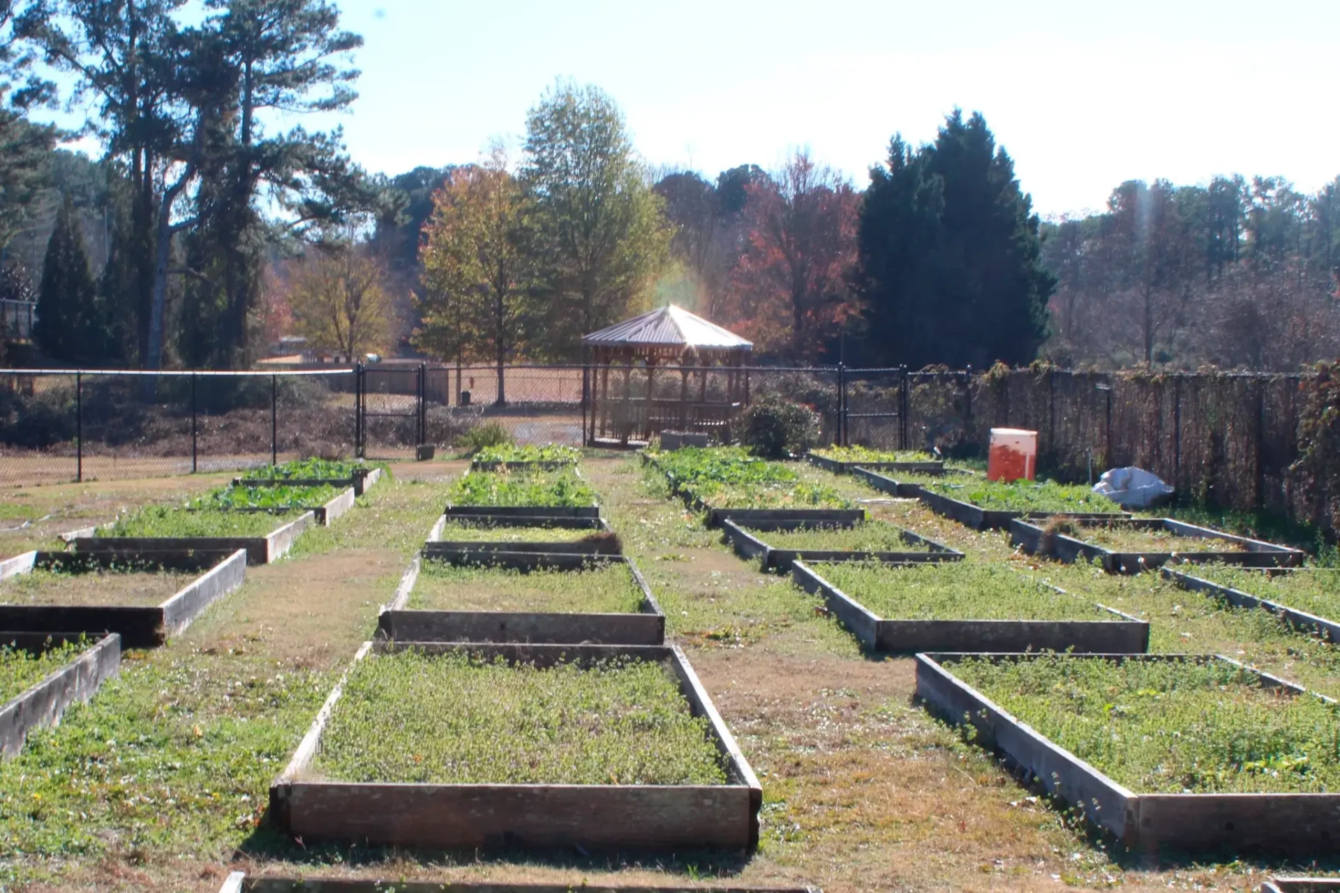 Burger-and-Onion-Rings-scaled
